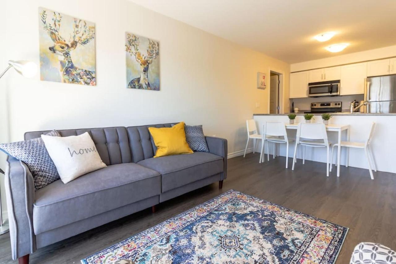 Newly Renovated Modern Condo Near Hospital, Unb Patio & Parking Coffee Saint John Eksteriør billede