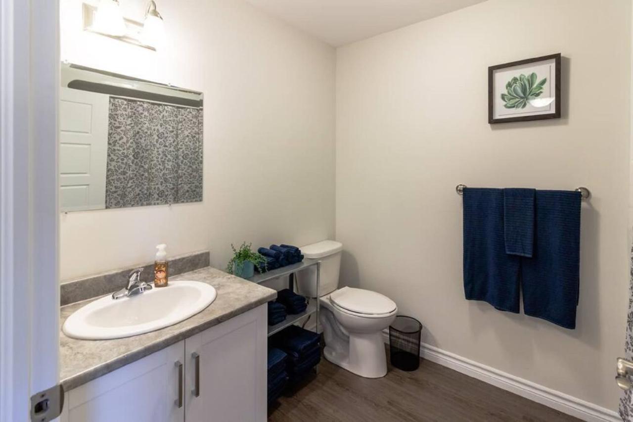 Newly Renovated Modern Condo Near Hospital, Unb Patio & Parking Coffee Saint John Eksteriør billede